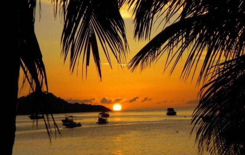 Location de vacances - Appartement à Bouillante