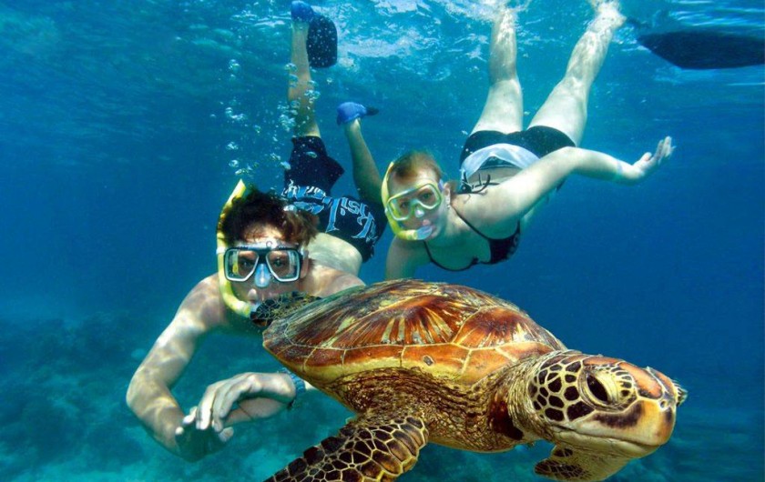 Location de vacances - Appartement à Bouillante