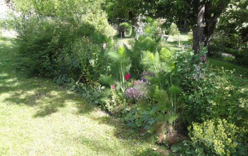 Location de vacances - Chambre d'hôtes à Saint-Loup-de-Naud - Joyeux mélange d'alchémilles, ails d'ornement et rosiers