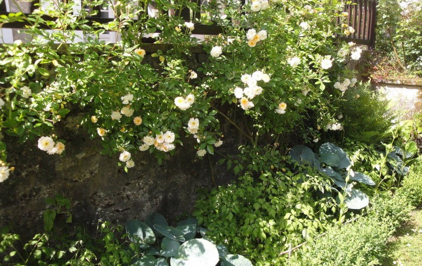 Location de vacances - Chambre d'hôtes à Saint-Loup-de-Naud - Ghislaine de Féligonde borde la cave