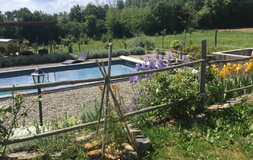Location de vacances - Gîte à Lendou-en-Quercy - piscine au sel coté prairie et bois