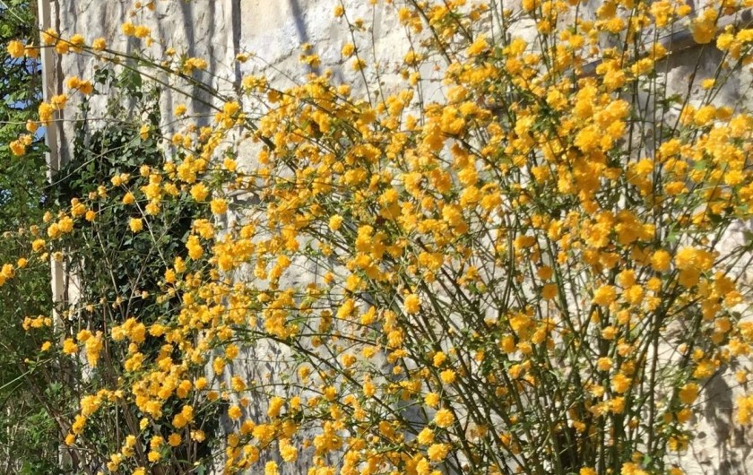 Location de vacances - Gîte à Lendou-en-Quercy - coté escalier sud ouest
