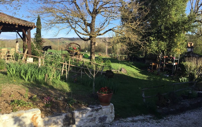 Location de vacances - Gîte à Lendou-en-Quercy - coté prairie