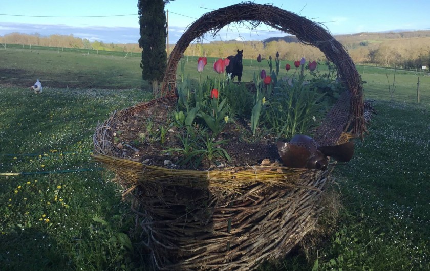 Location de vacances - Gîte à Lendou-en-Quercy - coté prairie