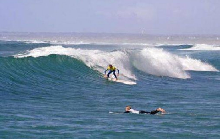 Location de vacances - Maison - Villa à Loctudy