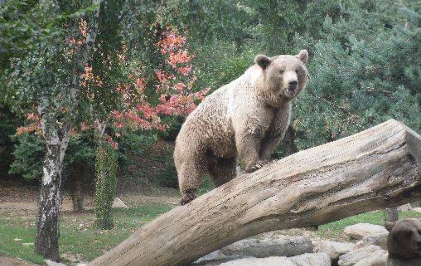 Location de vacances - Appartement à Argelès-Gazost