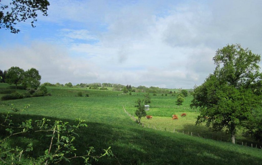 Location de vacances - Gîte à Senergues