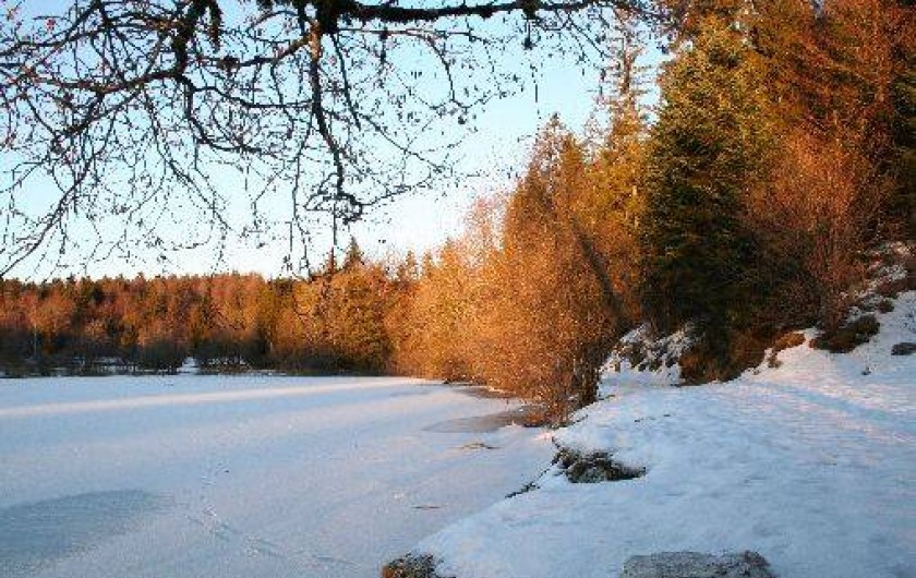 Location de vacances - Studio à La Bresse