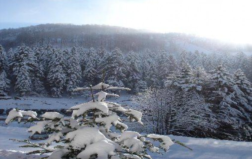 Location de vacances - Studio à La Bresse