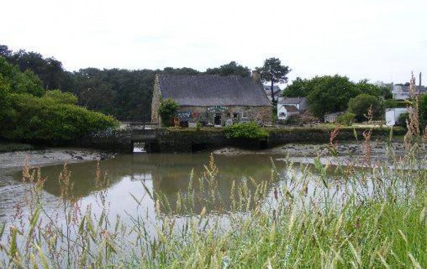 Location de vacances - Studio à Baden
