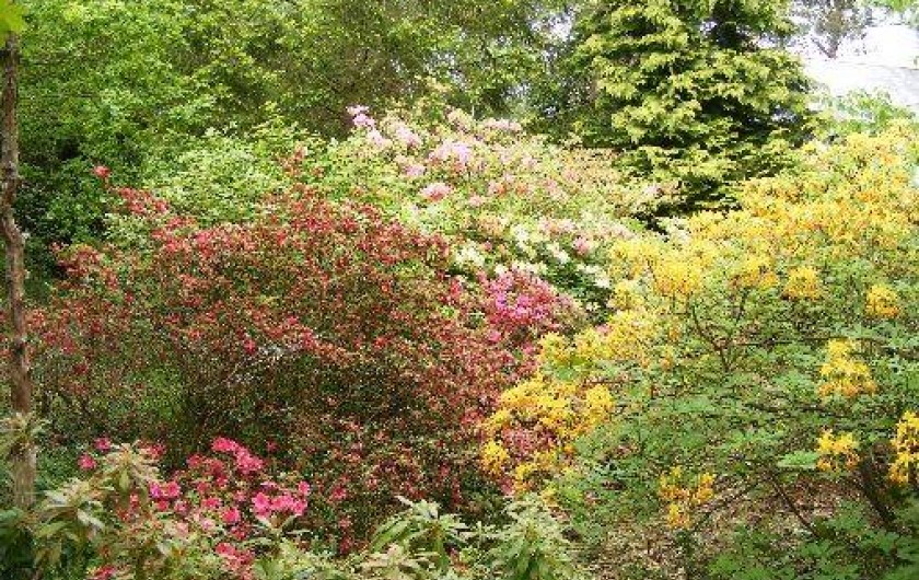 Location de vacances - Studio à Baden