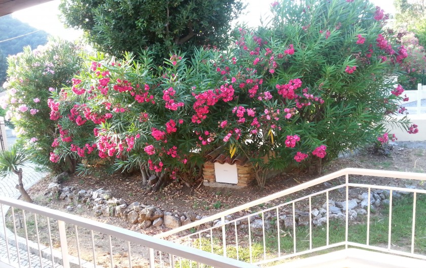 Location de vacances - Villa à Auribeau-sur-Siagne