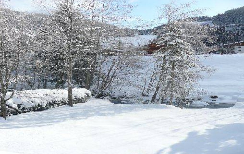 Location de vacances - Chalet à Châtel