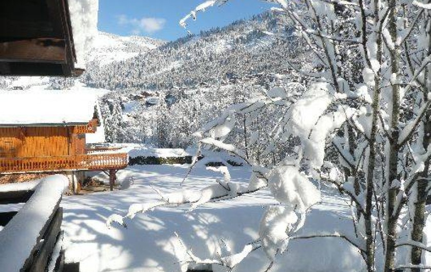 Location de vacances - Chalet à Châtel
