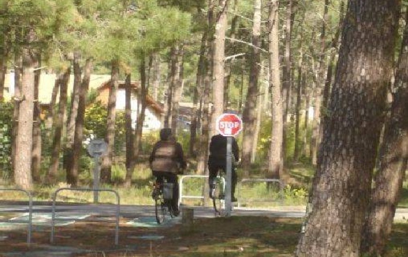 Location de vacances - Maison - Villa à Lacanau