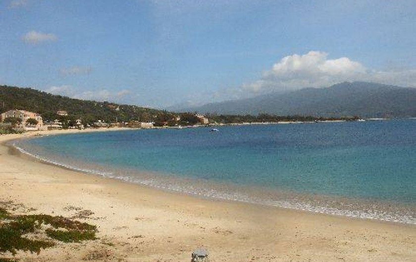 Location de vacances - Villa à Porto Pollo