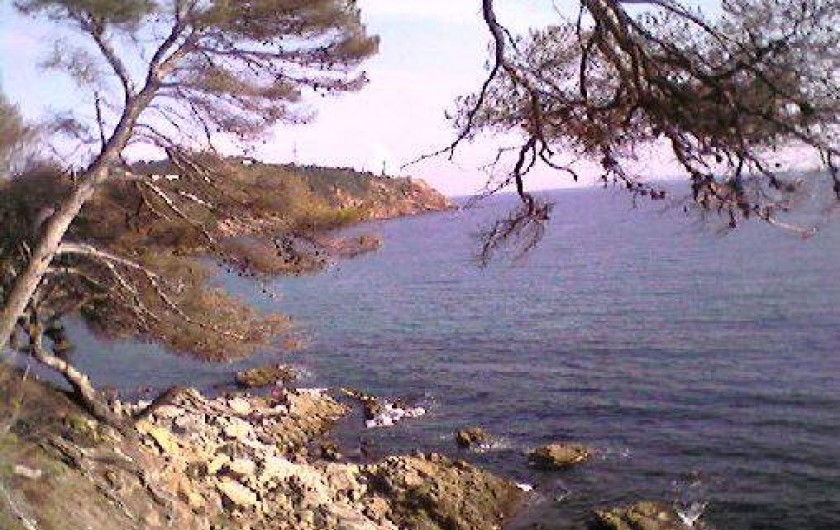 Location de vacances - Villa à Saint-Mandrier-sur-Mer