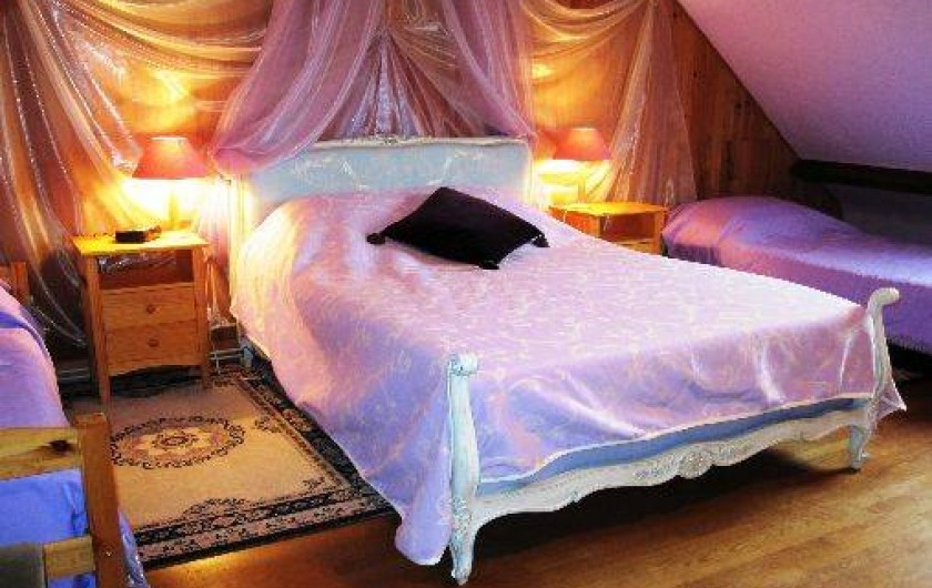 Location de vacances - Chambre d'hôtes à Châteauneuf-la-Forêt