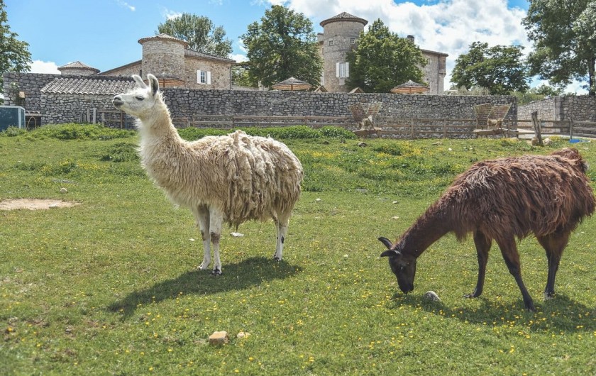 Location de vacances - Gîte à Ruoms - Chambre