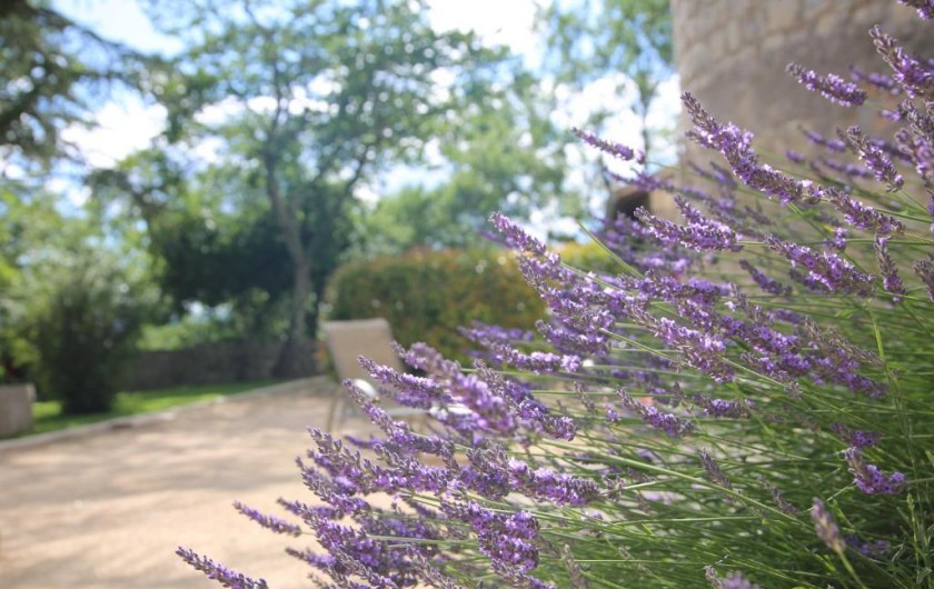 Location de vacances - Gîte à Ruoms