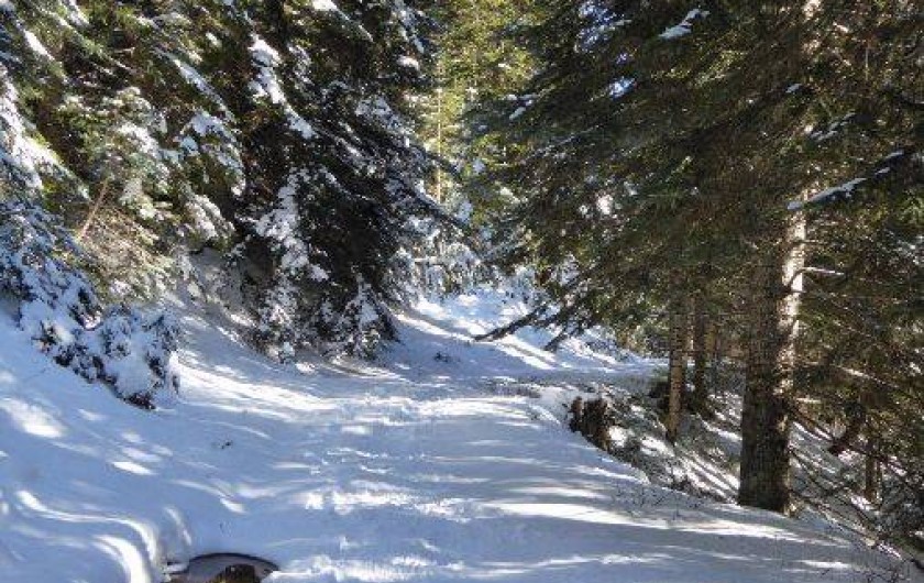 Location de vacances - Appartement à Péone