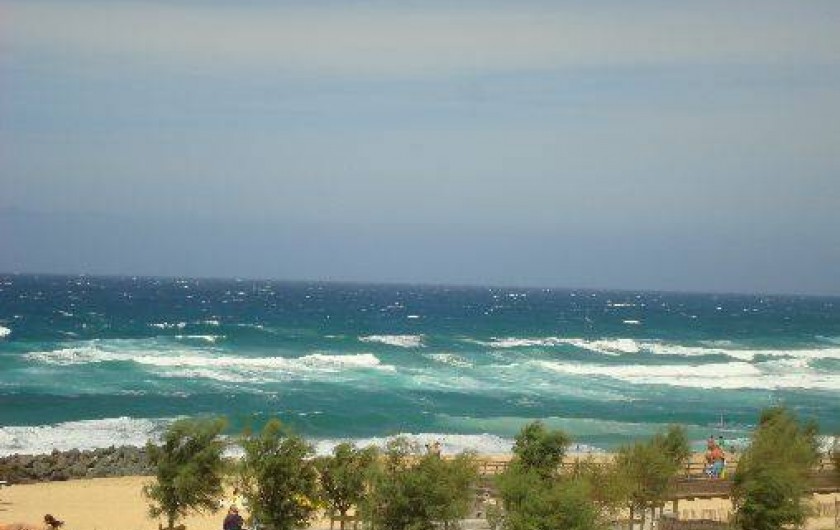 Location de vacances - Studio à Soorts