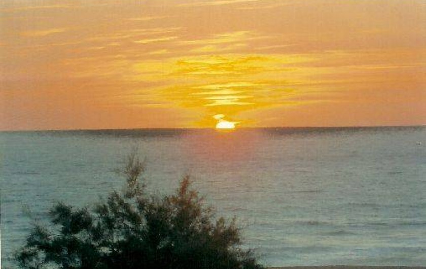 Location de vacances - Studio à Soorts