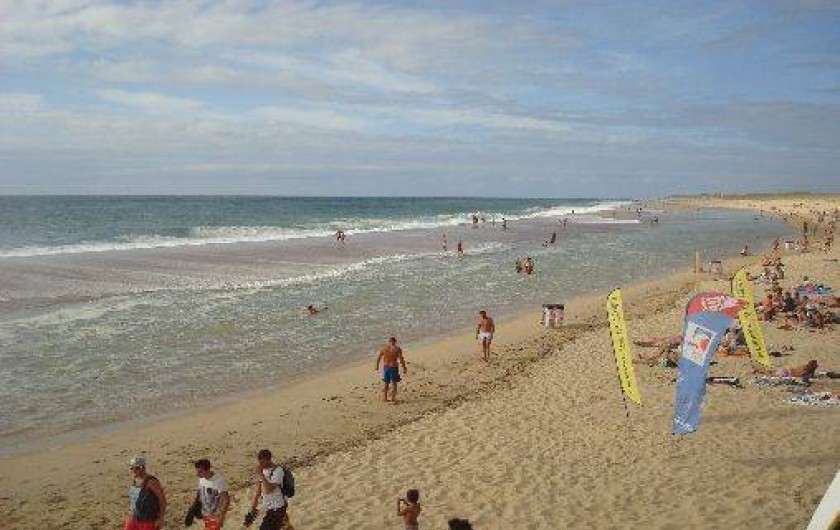 Location de vacances - Studio à Soorts