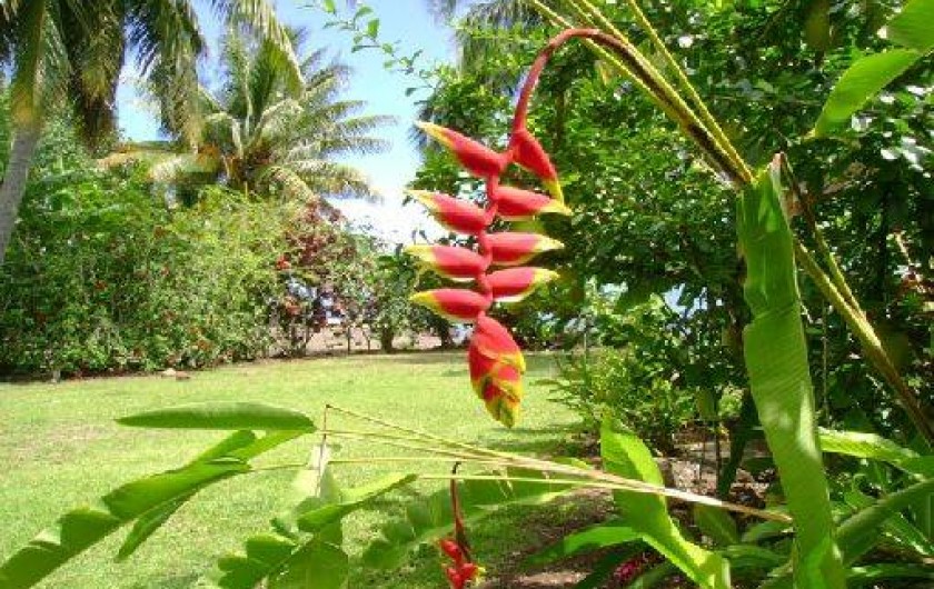 Location de vacances - Maison - Villa à Papeotai
