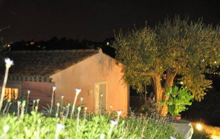 Location de vacances - Villa à Biot