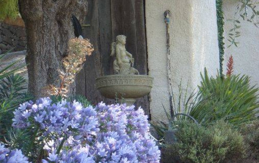 Location de vacances - Villa à Biot