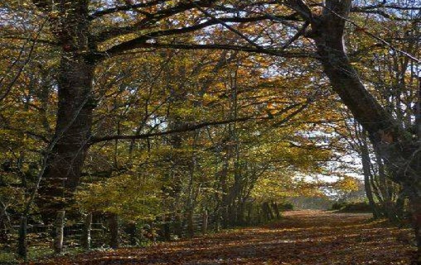 Location de vacances - Gîte à Saint-Martin-des-Combes