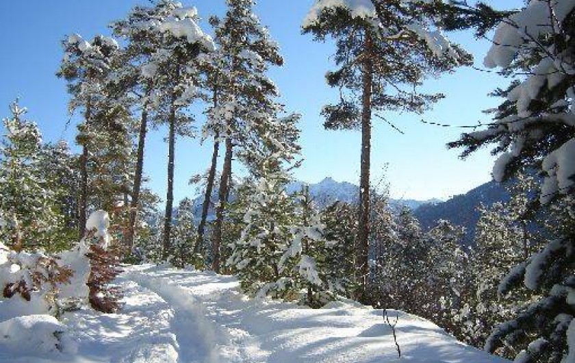 Location de vacances - Appartement à Saint-Chaffrey