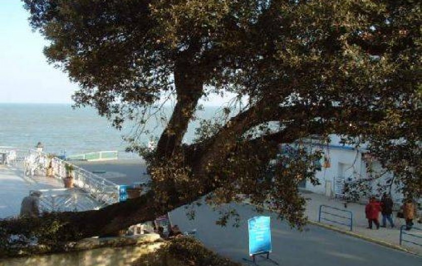 Location de vacances - Appartement à Noirmoutier-en-l'Île