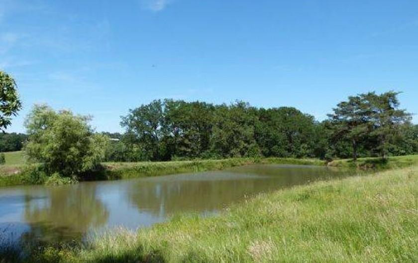 Location de vacances - Gîte à Limeyrat