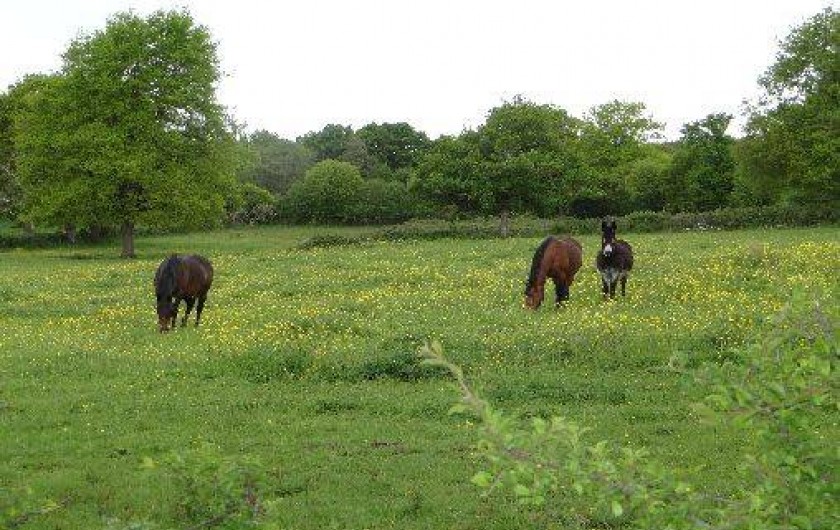 Location de vacances - Gîte à Bagneux