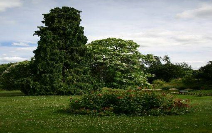 Location de vacances - Gîte à Saint-Jean-de-la-Motte