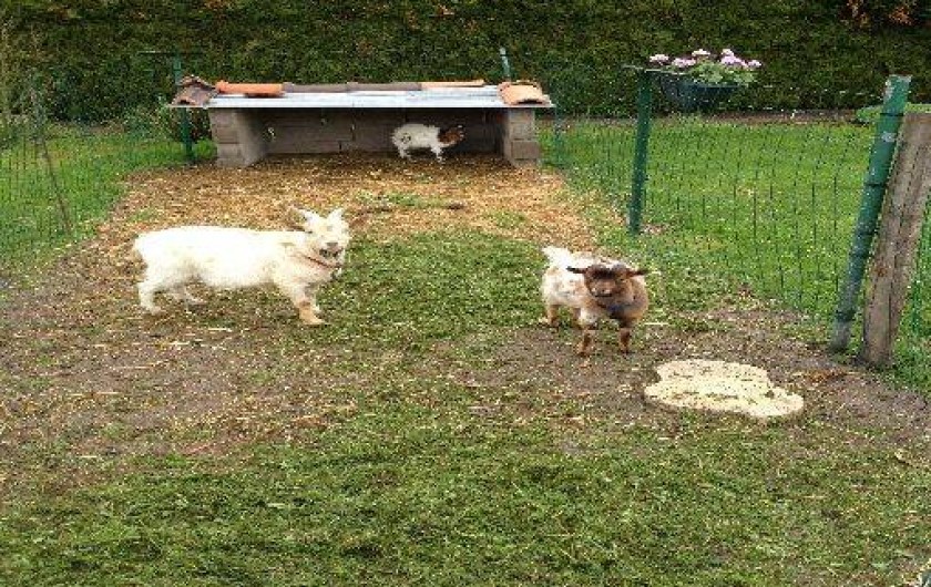 Location de vacances - Gîte à Ottonville