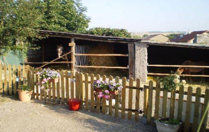 Location de vacances - Gîte à Ottonville