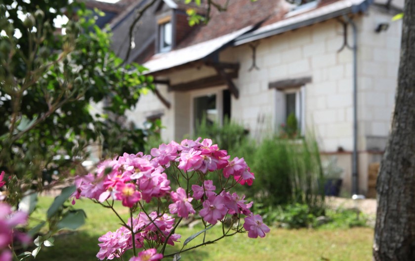 Location de vacances - Villa à Berthenay - Guesthouse  Gîte façade ouest rosier-noyer