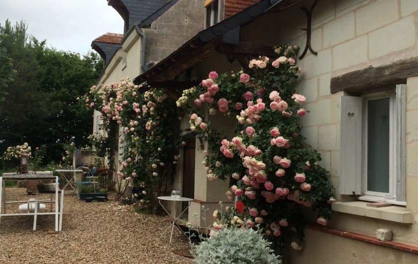 Location de vacances - Villa à Berthenay - South front with Pierre de Ronsard roses