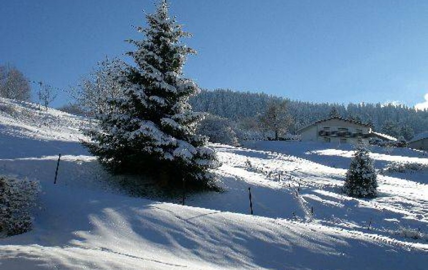 Location de vacances - Gîte à La Bresse