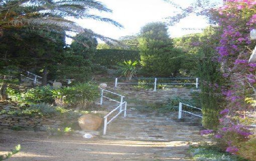 Location de vacances - Villa à Le Lavandou