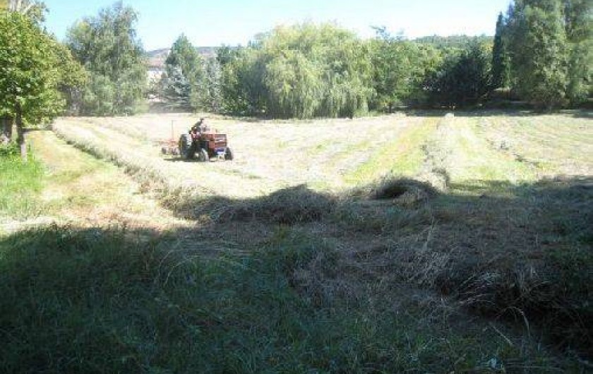 Location de vacances - Maison - Villa à Malaucène