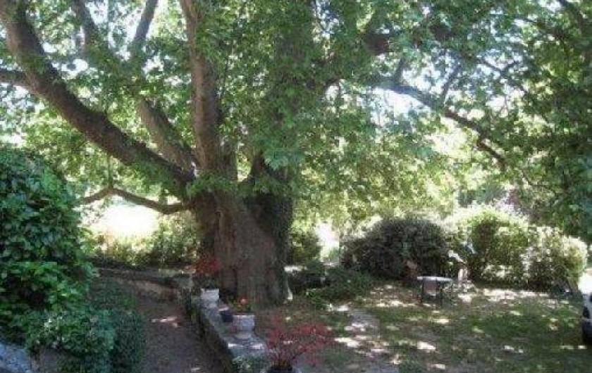 Location de vacances - Maison - Villa à Malaucène