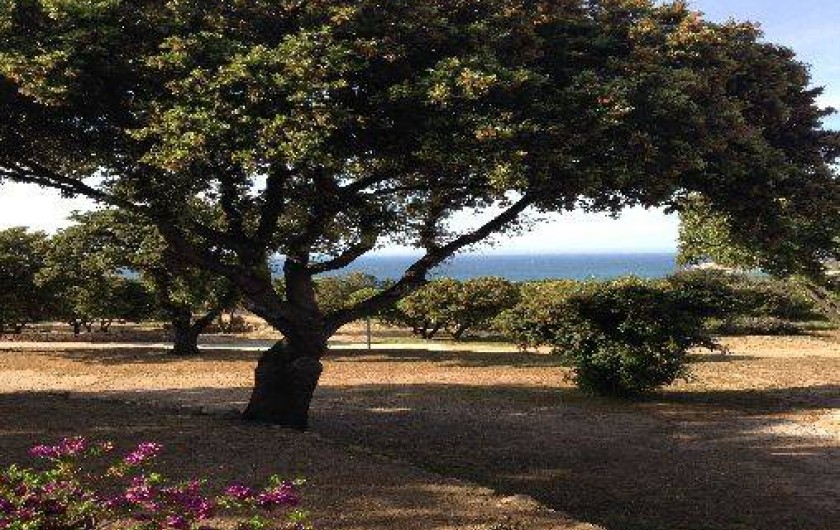 Location de vacances - Appartement à Algajola