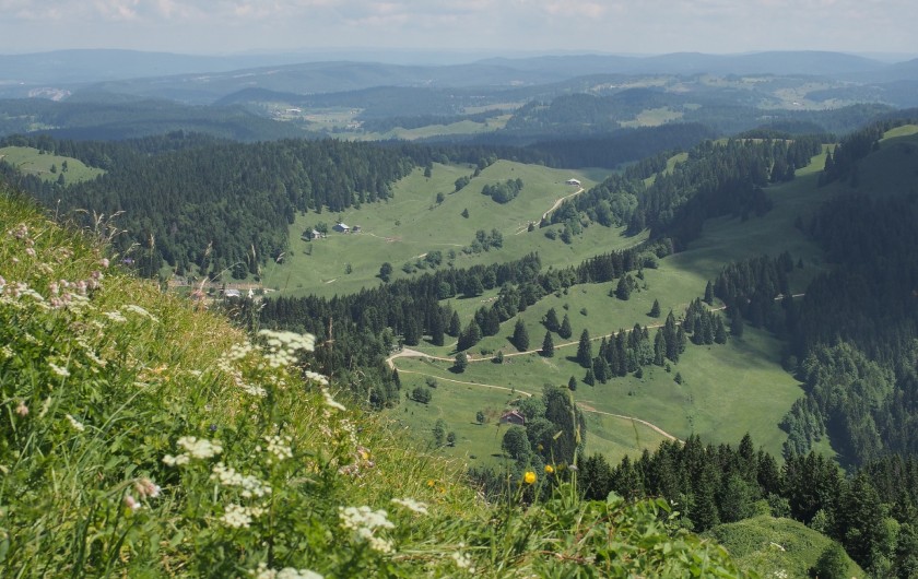 Location de vacances - Chalet à La Pesse - La borne au Lion vue depuis  le Crêt de Chalam