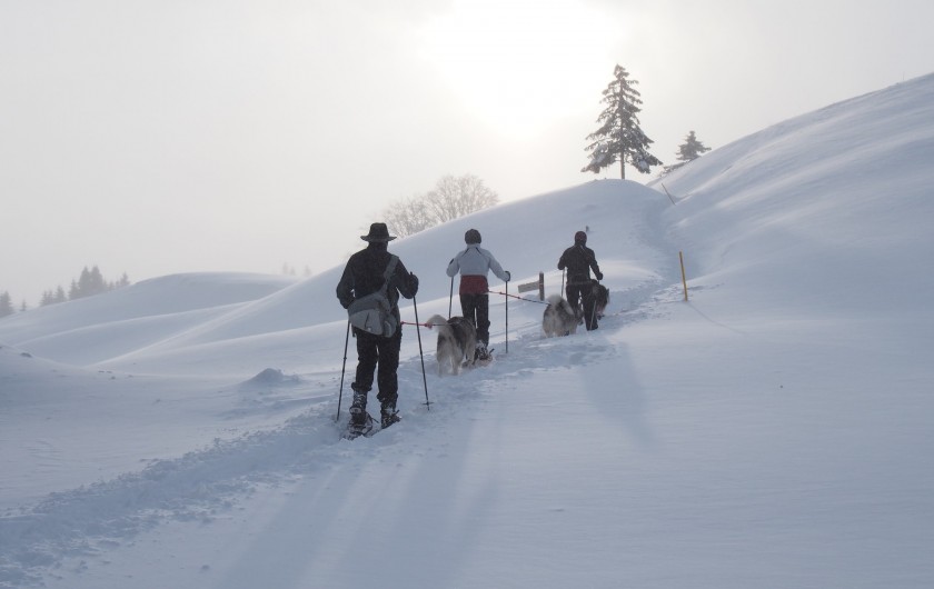 Location de vacances - Chalet à La Pesse - Randonnée Raquettes