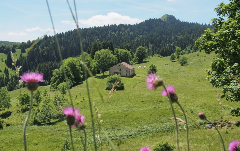 Location de vacances - Chalet à La Pesse - Le Crêt de Chalam vu depuis  La borne au Lion