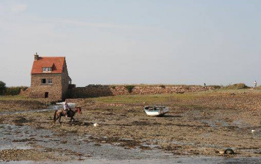 Location de vacances - Maison - Villa à Plougrescant